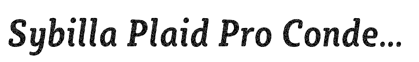 Sybilla Plaid Pro Condensed Medium Italic